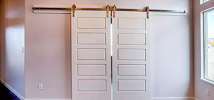 Glass Barn Door with Installation Hardware Kit Cranston
