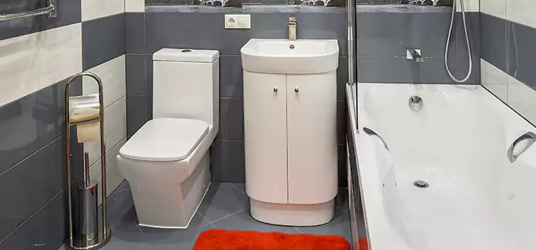 Hansgrohe Shaving Mirror Cranston